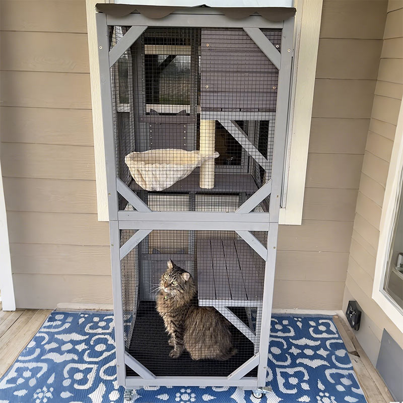 Aivituvin-AIR22-M Medium Wooden Outdoor Cat Catio with Wheels| Connecting with Window