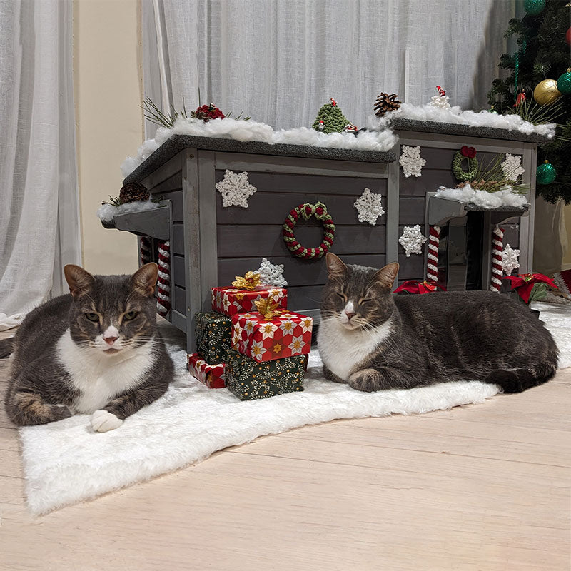 Aivituvin-AIR93-IN Insulated Cat House for Outside Winter | Warm Liner Inside