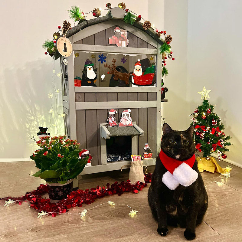 Aivituvin-AIR94-IN Outside Insulated Cat House for Winter| Removable Liner