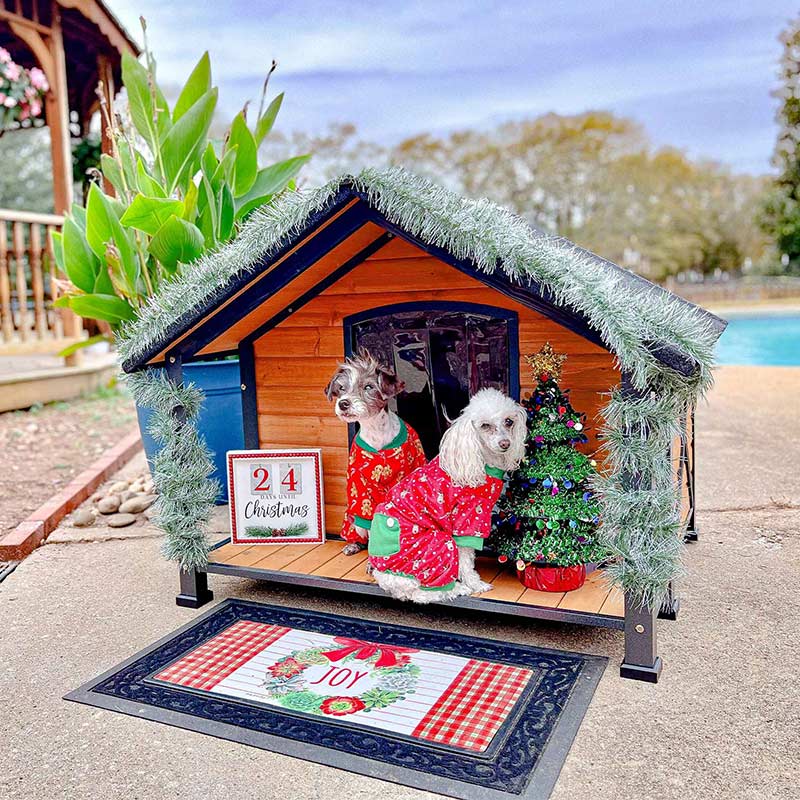 Aivituvin-AIR88 40.5"L Waterproof Dog House with Anti-Chewing Metal Frame|Large Porch