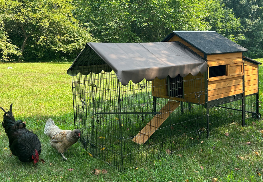 Chicken Coops on Wheels 