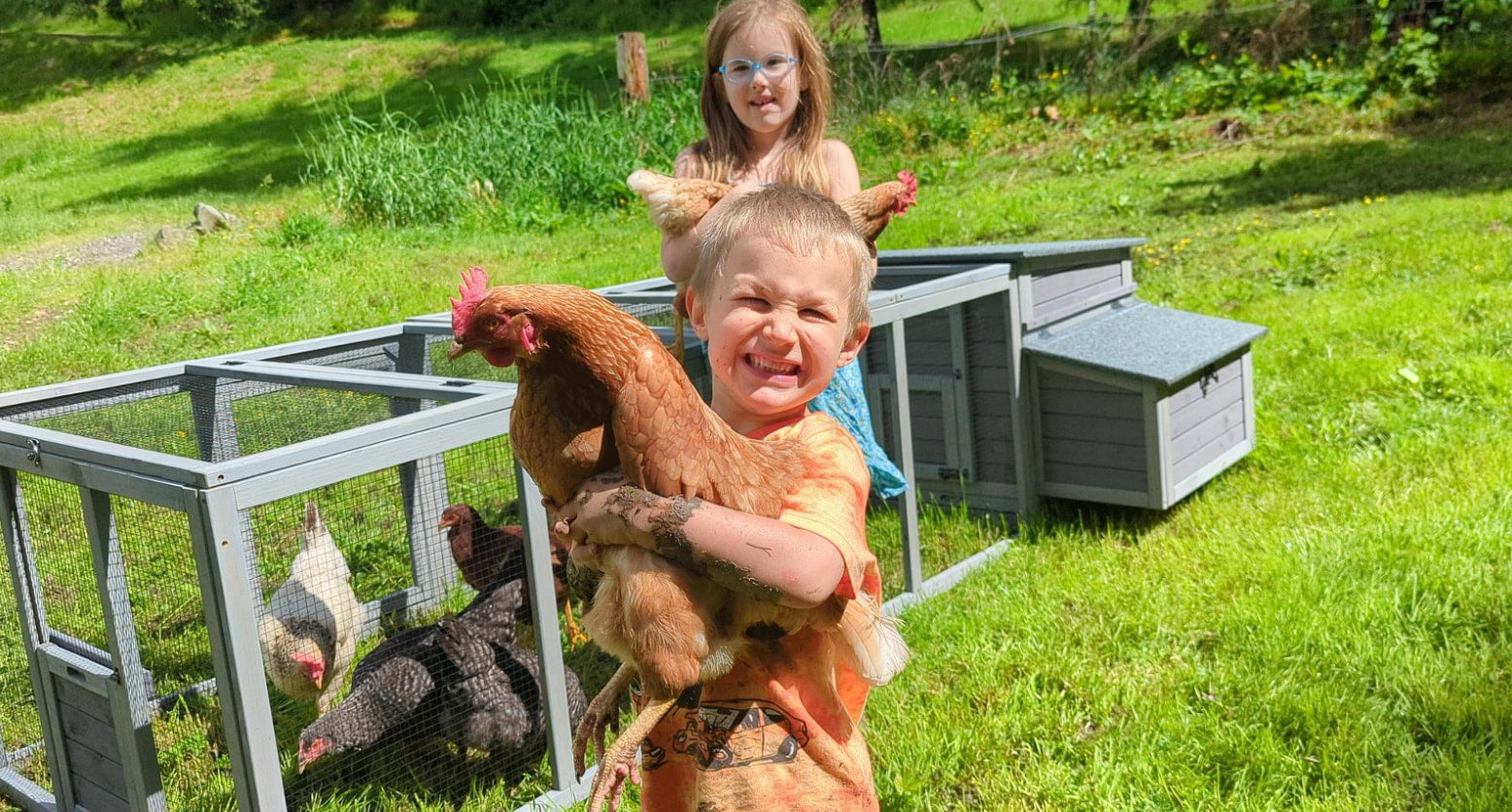 Kids holding chickens