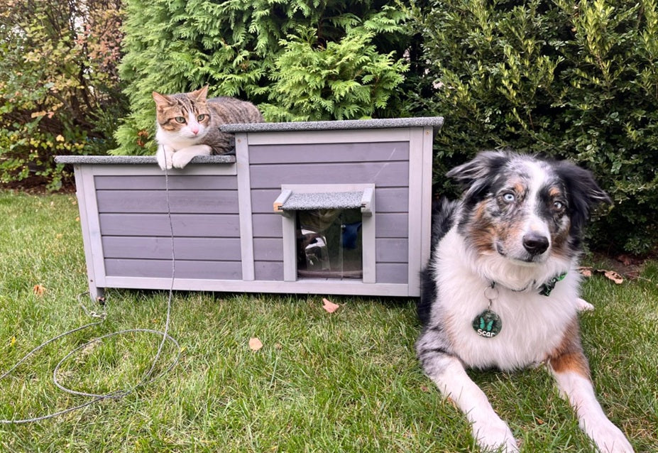 Cat House vs Catio