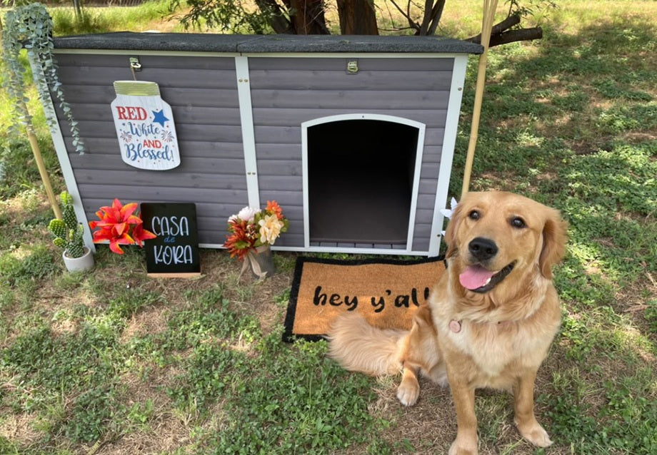 Best Insulated Dog House for Outdoor Use