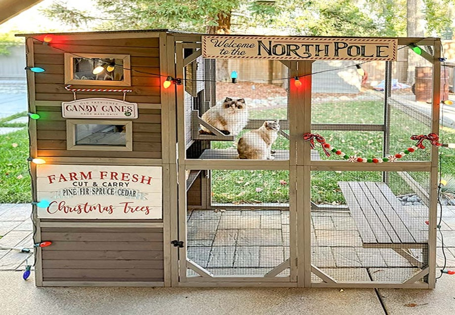  Outdoor Cat Enclosures