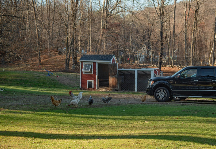 Chicken Tractor