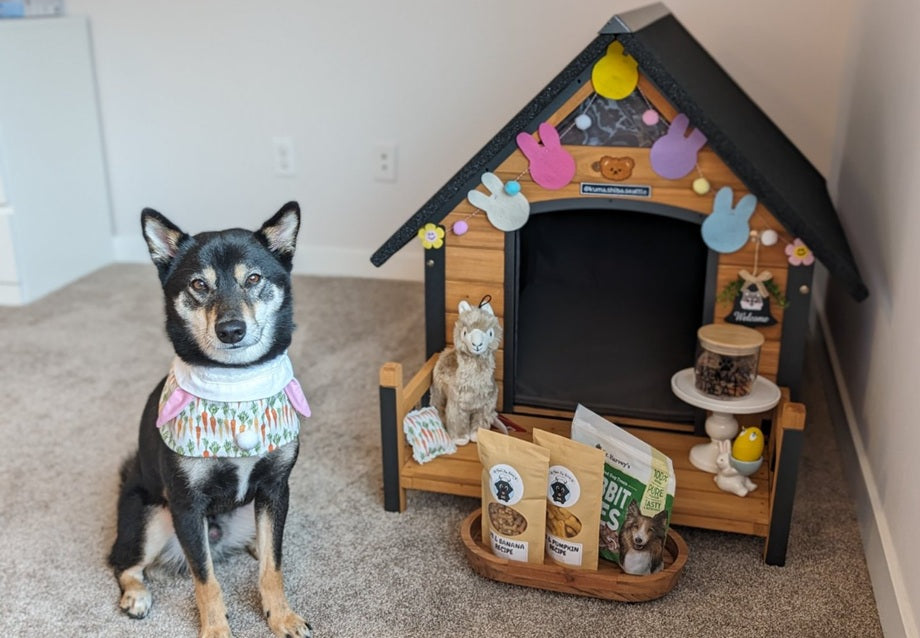 Insulated Dog House: What It Is, When You Need One, and How to Choose