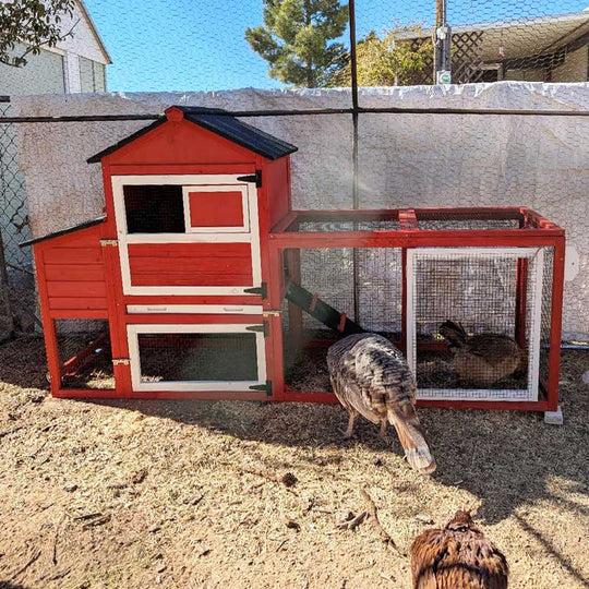 Aivituvin-AIR72-UK Mobile Chicken Tractor for 2-3 Chickens( Inner Space 12.33ft²)