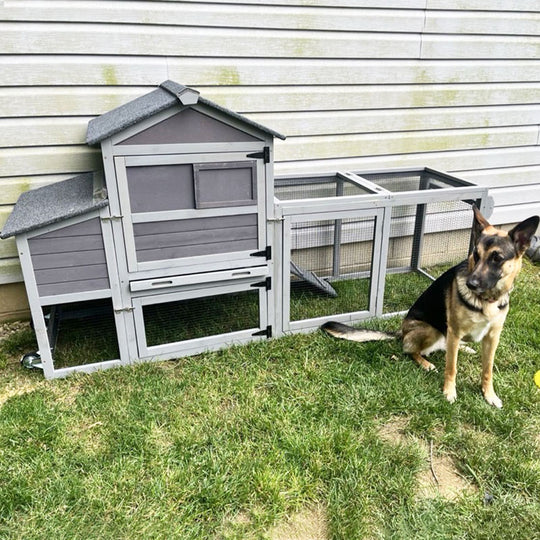 Aivituvin-AIR72-UK Mobile Chicken Tractor for 2-3 Chickens( Inner Space 12.33ft²)