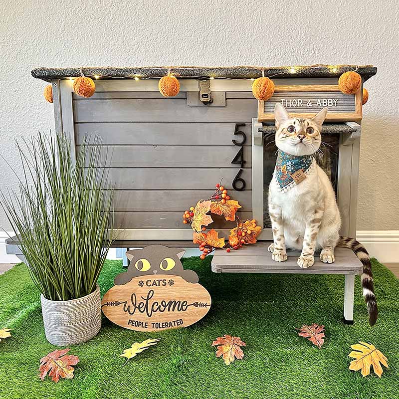 Aivituvin-AIR91-IN Insulated Outdoor Cat House| Warm Liner Inside