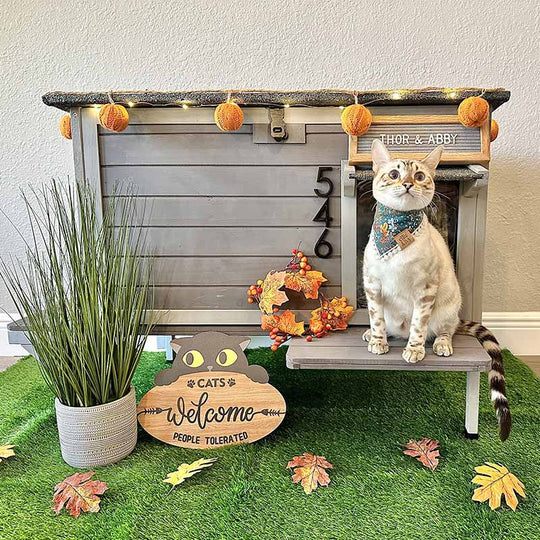 Aivituvin-AIR91-IN Insulated Outdoor Cat House| Warm Liner Inside