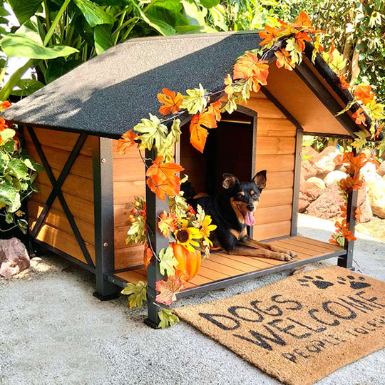 Aivituvin-AIR88 Waterproof Dog House with Anti-Chewing Metal Frame|Large Porch