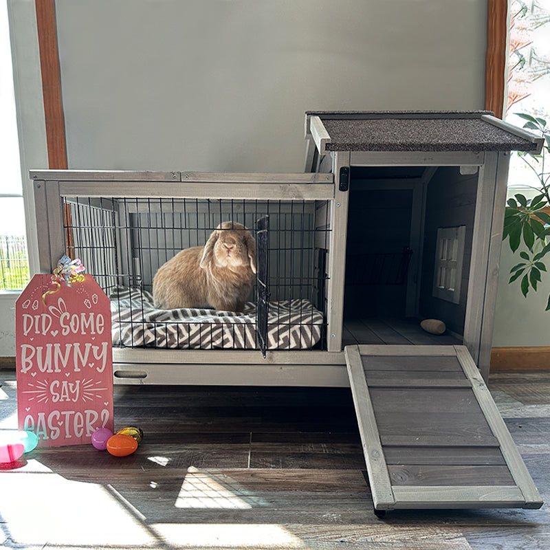 Aivituvin-AIR24 Rabbit Hutch | Outdoor Bunny Cage (Inner Space 4.84ft²)