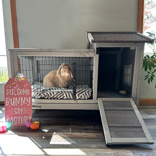 Aivituvin-AIR24 Rabbit Hutch | Outdoor Bunny Cage (Inner Space 4.84ft²)