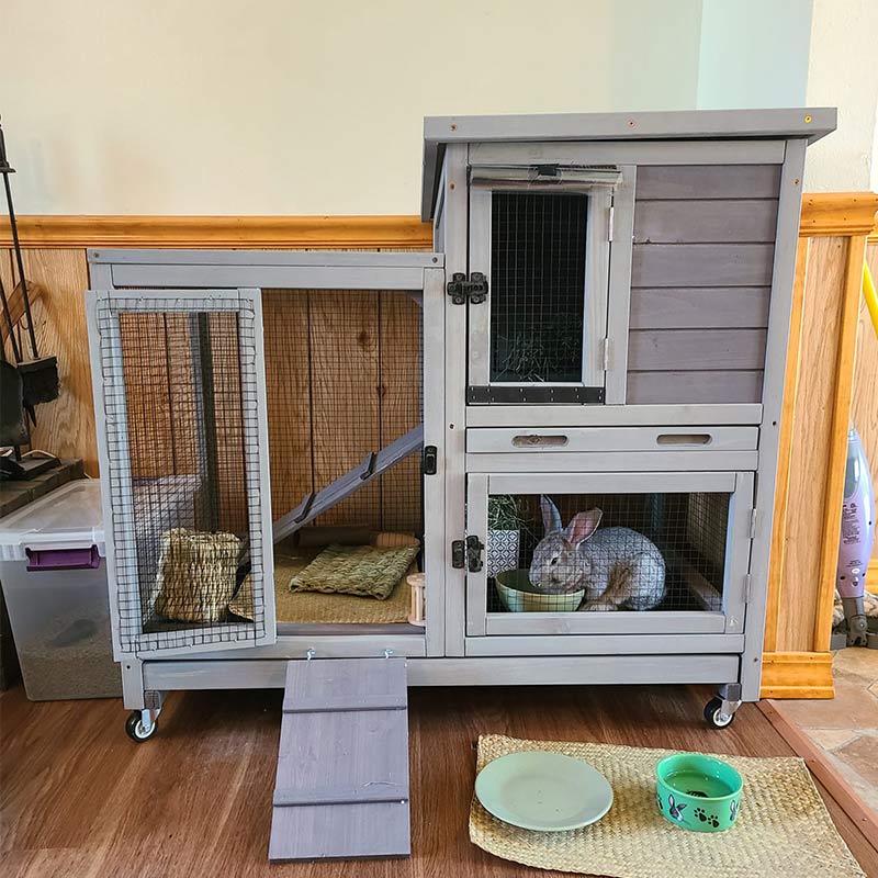 Aivituvin-AIR10-UK Outdoor and Indoor Bunny Hutch (Inner Space 8.3ft²)