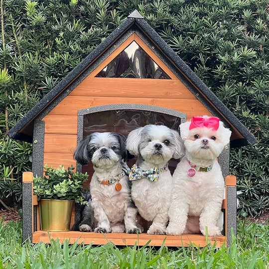 Aivituvin-AIR80 Outdoor Dog House with Porch| Strong Iron Frame