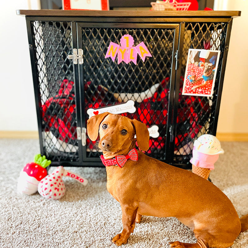 Aivituvin-AIR78/79 Dog Crate Furniture, Side End Table with Tray, Cushion and Casters