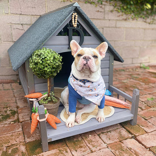 Aivituvin-AIR80 Outdoor Dog House with Porch| Strong Iron Frame