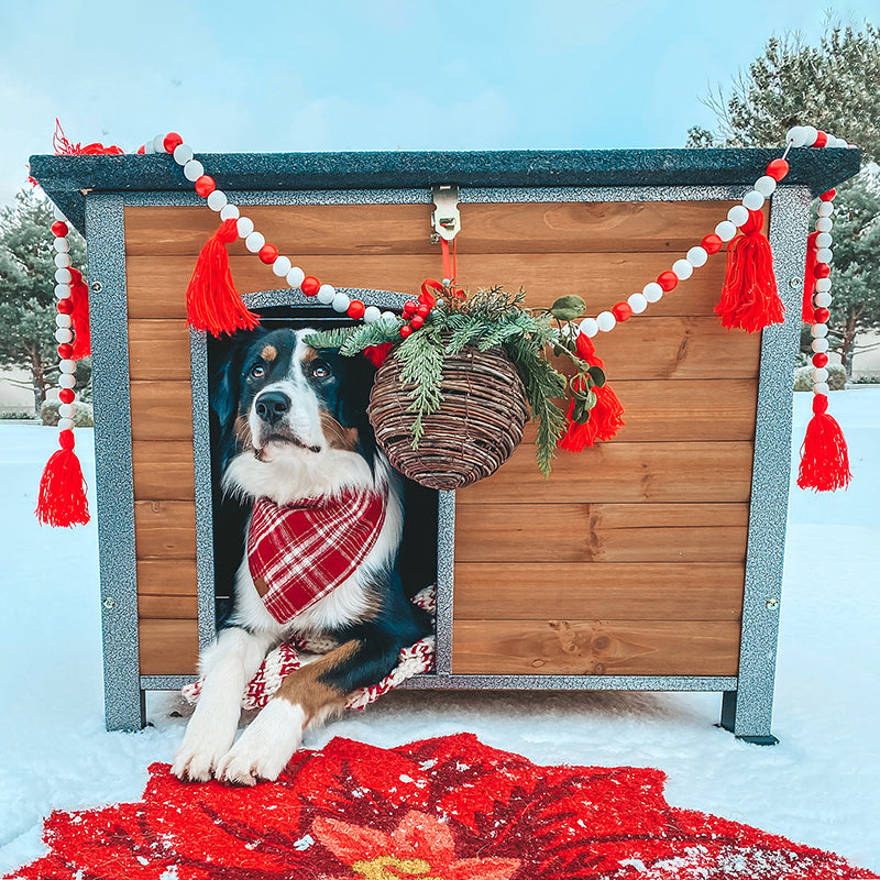 Aivituvin-AIR74 Wooden Heavy Duty Dog Crates House| Strong Iron Frame
