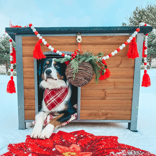 Aivituvin-AIR74 Wooden Heavy Duty Dog Crates House| Strong Iron Frame